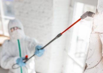 From Inspection to Remediation: A Comprehensive Guide to Mold Removal Services in Toronto