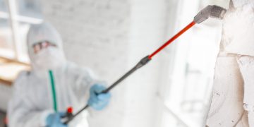 From Inspection to Remediation: A Comprehensive Guide to Mold Removal Services in Toronto