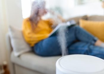 Training in How an Air Purifier Works