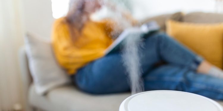 Training in How an Air Purifier Works