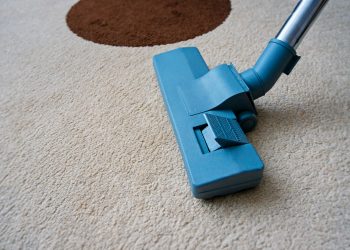 The Ultimate Guide to Carpet Cleaning in Northern Beaches