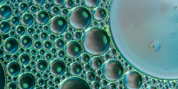 Introduction to Aquatic Bioassay Testing