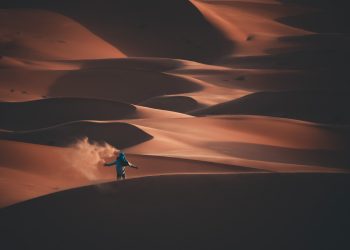 Exploring the Desert of Dubai: Top Desert Safari Tours and Experiences 