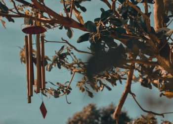 How To Make Wind Chimes?