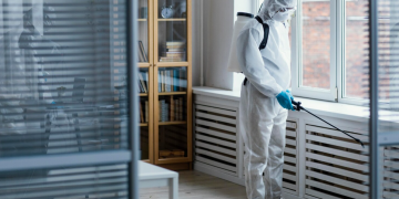 Carpet Beetle Control in Eagle Homes